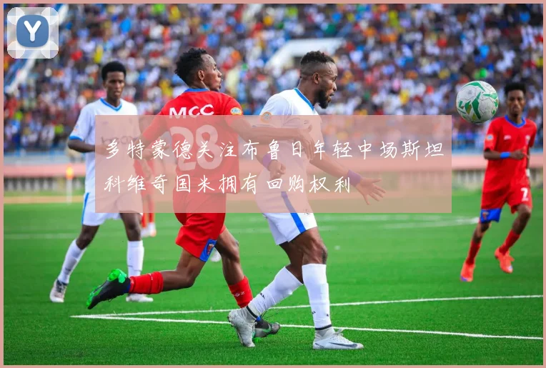 多特蒙德关注布鲁日年轻中场斯坦科维奇国米拥有回购权利