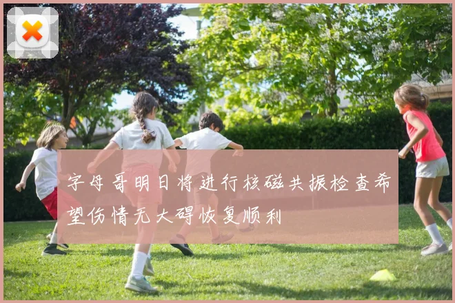字母哥明日将进行核磁共振检查希望伤情无大碍恢复顺利