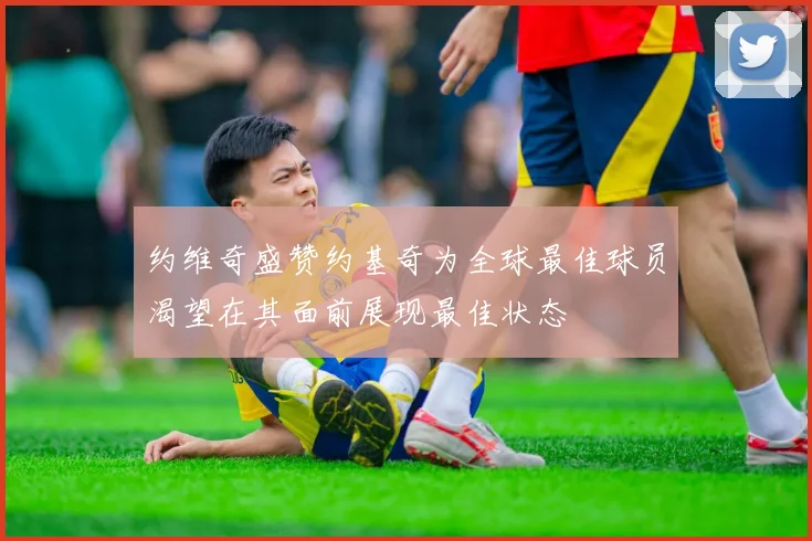 约维奇盛赞约基奇为全球最佳球员渴望在其面前展现最佳状态