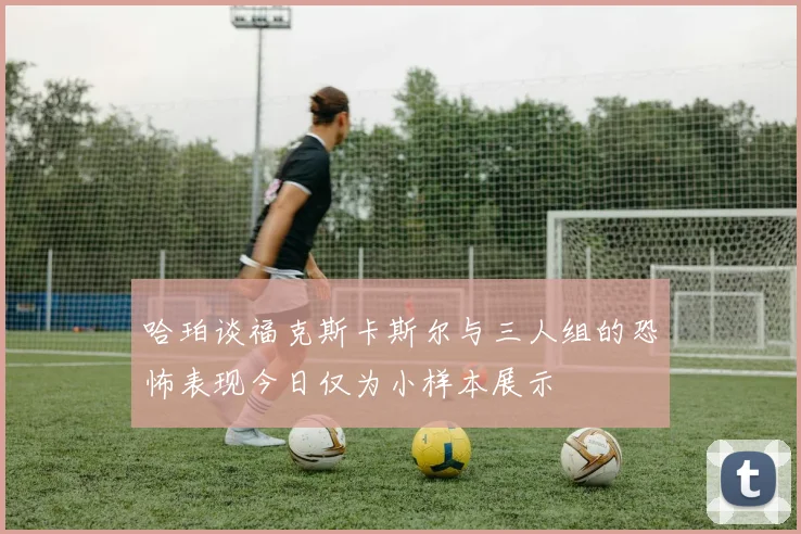 哈珀谈福克斯卡斯尔与三人组的恐怖表现今日仅为小样本展示